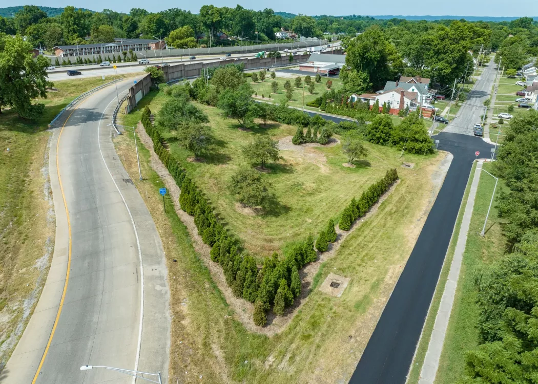 Trees planted along Watterson Expressway/Interstate 264 in Louisville, KY for the Green Heart Louisville Project.