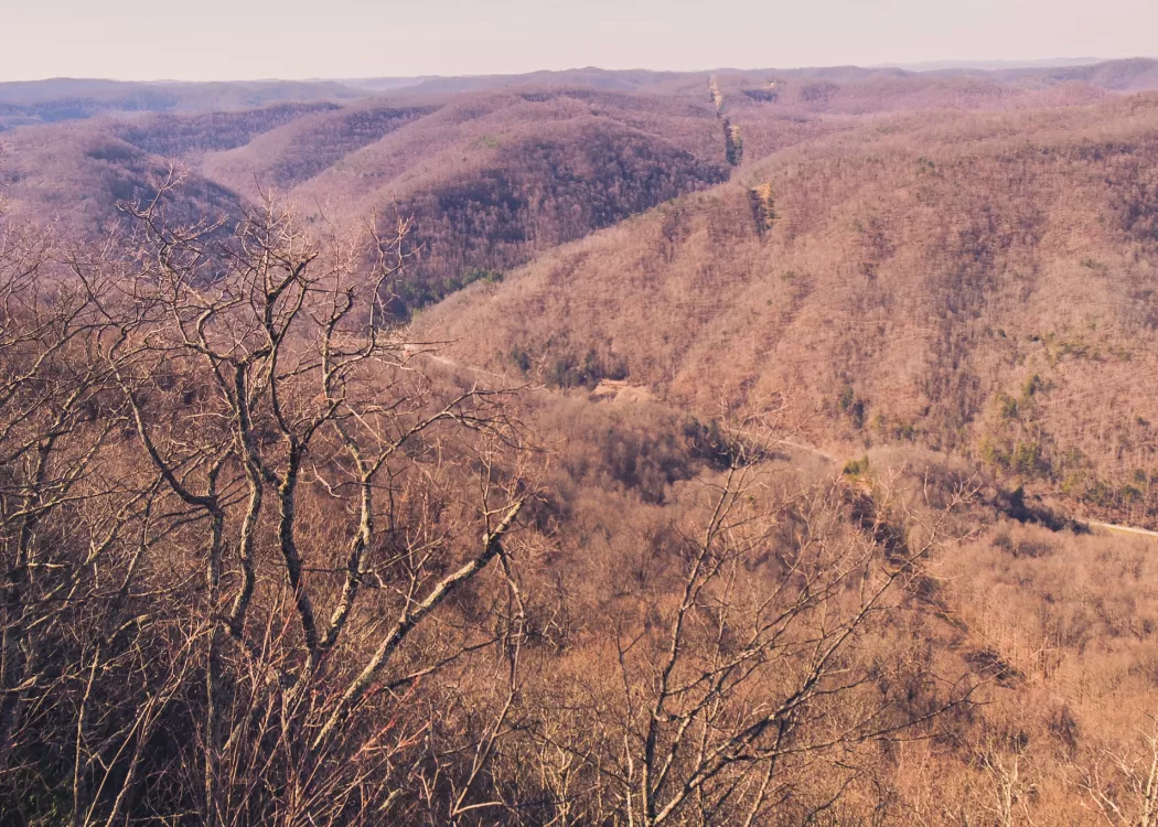 Far from its urban core, UofL is working to strengthen health care opportunities and services in eastern Kentucky's mountain regions. This overlook is in Kingdom Come State Park near Cumberland