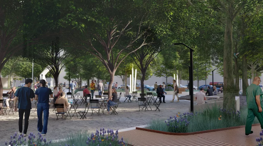 LOUMED Commons rendering of the seating grove area.