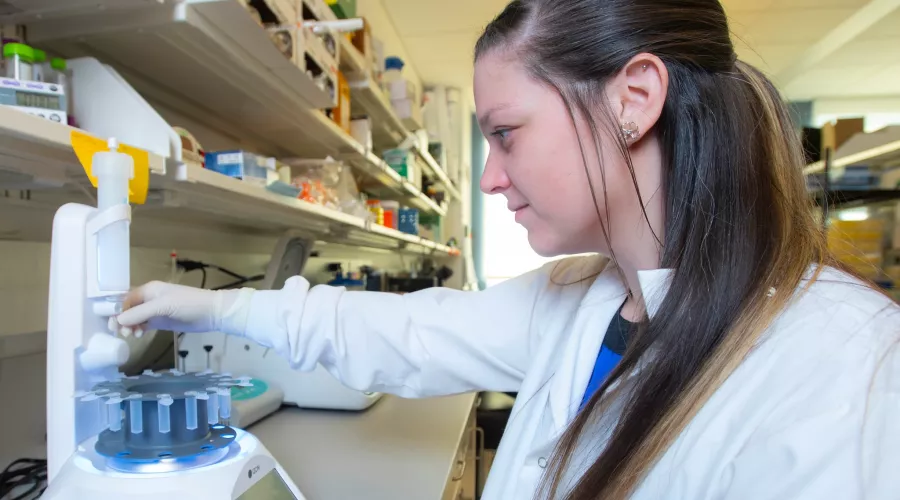Katelyn Sheneman working at a lab bench