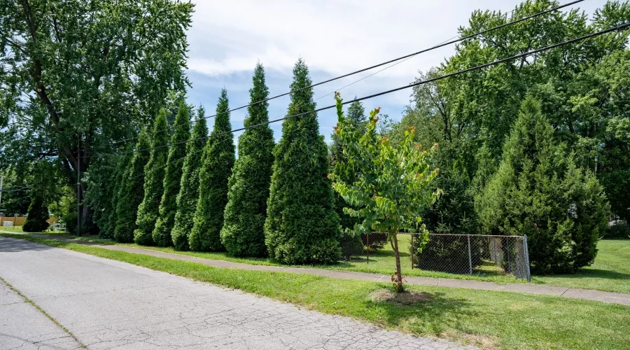 A residential area showing trees and shrubs added for the Green Heart Louisville Project. Photo by Mike Wilkinson for The Nature Conservancy.