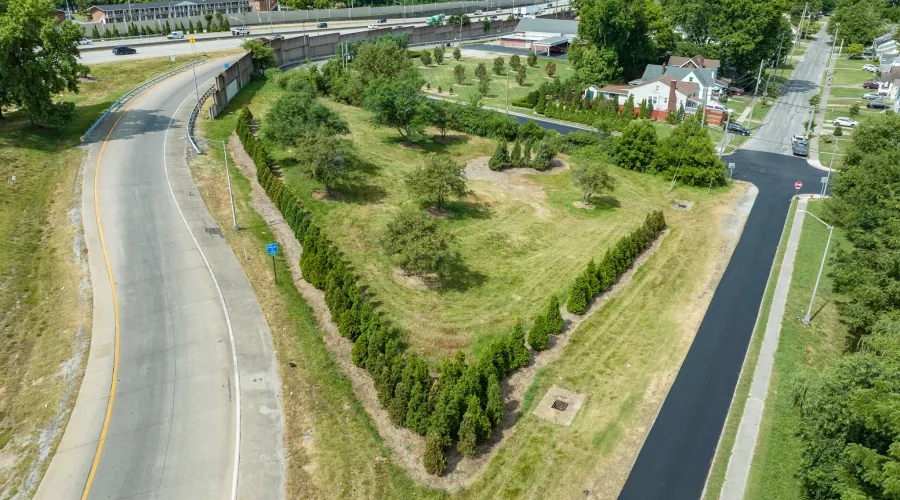 Trees planted along Watterson Expressway/Interstate 264 in Louisville, KY for the Green Heart Louisville Project.